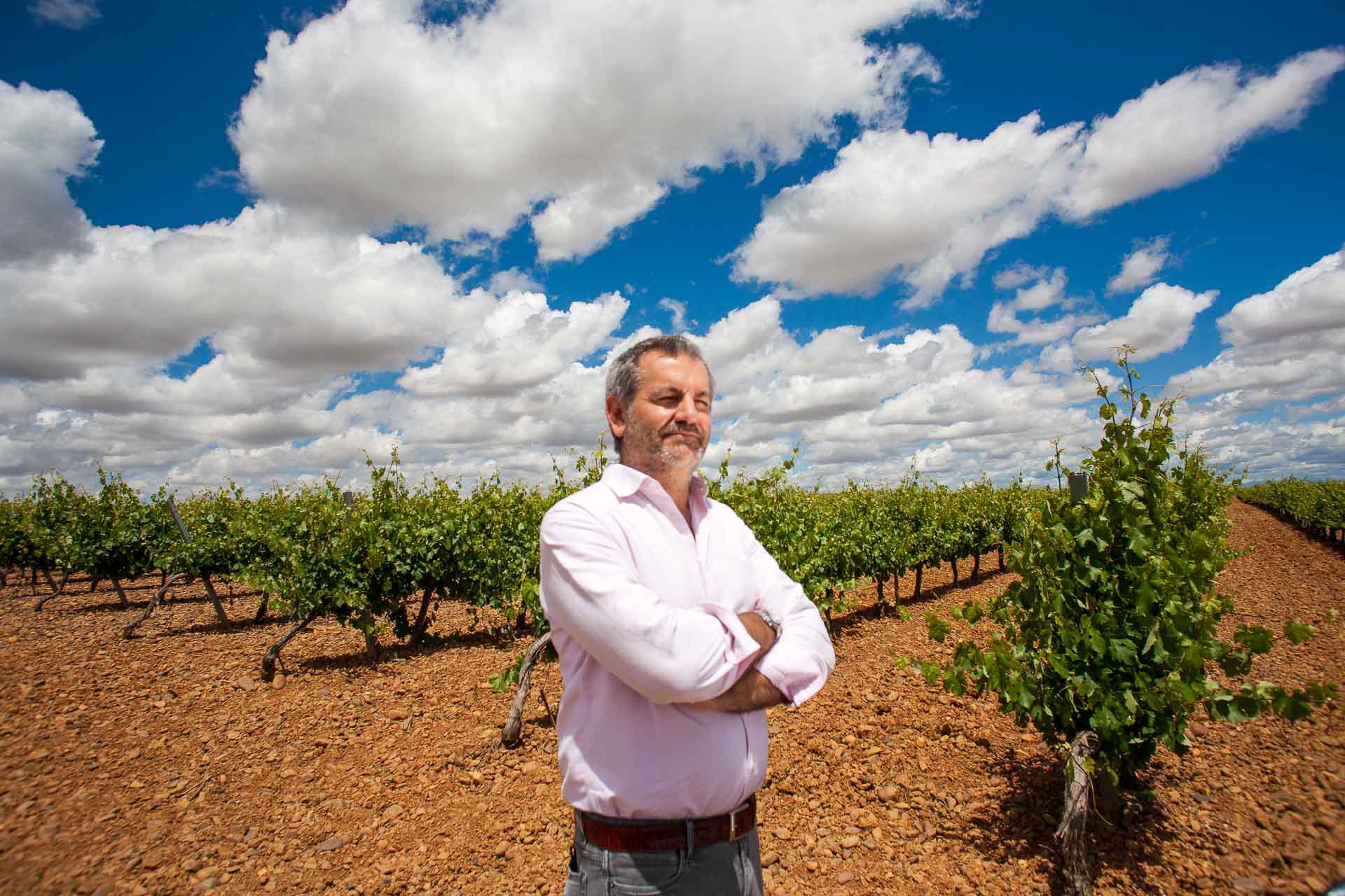 Bodegas Pincerna — Harvest