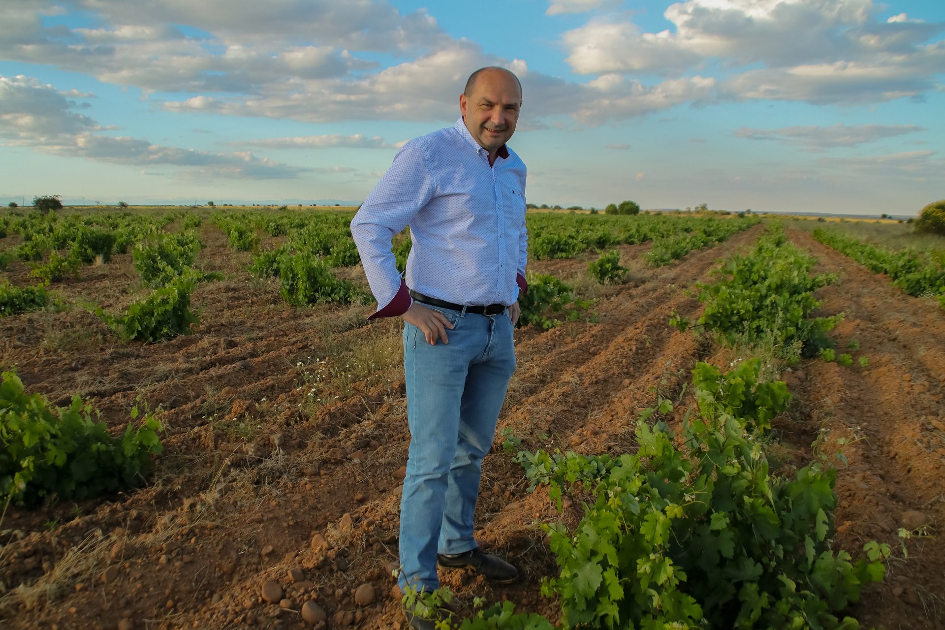 Bodegas Pincerna — Harvest