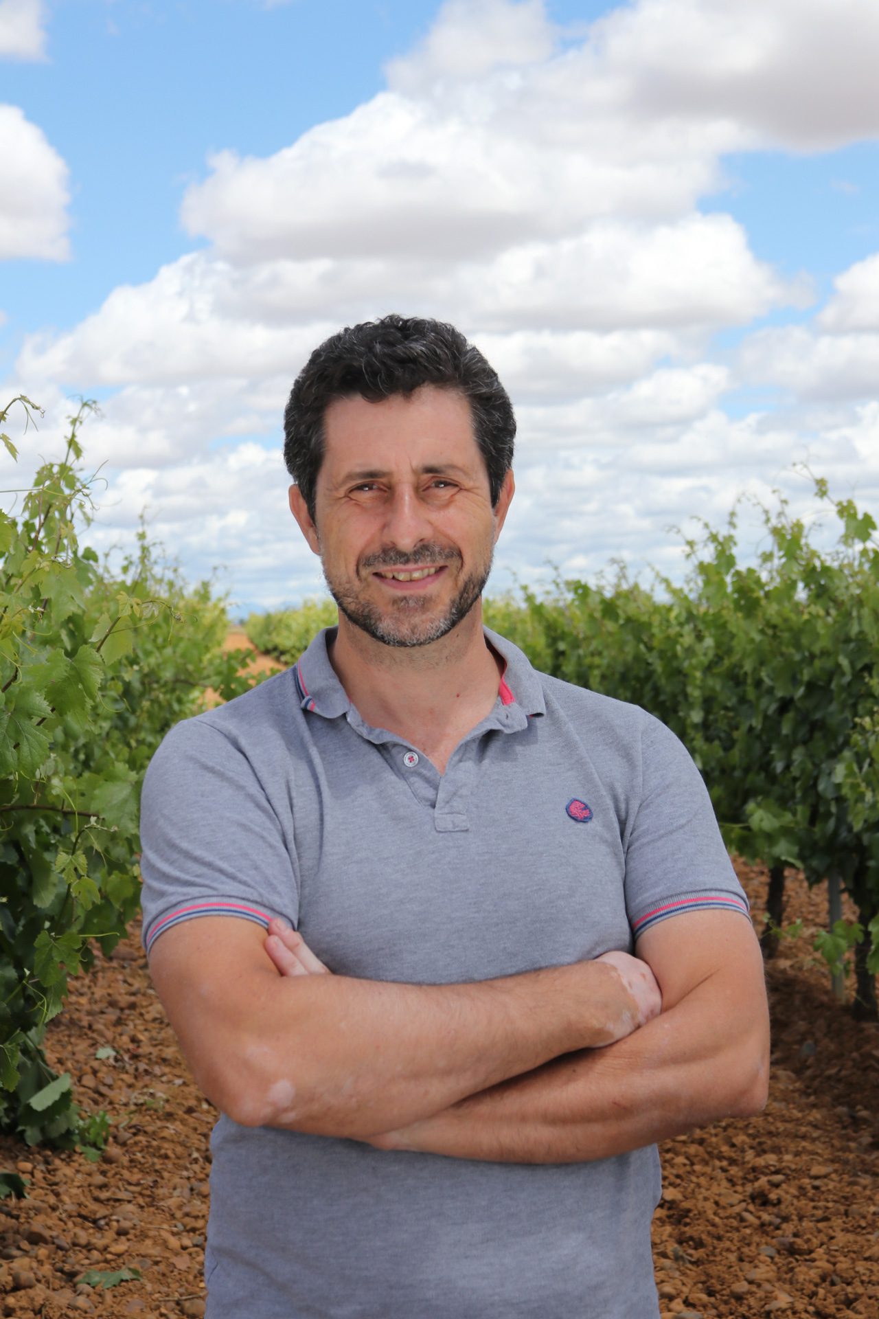 Bodegas Pincerna — Harvest